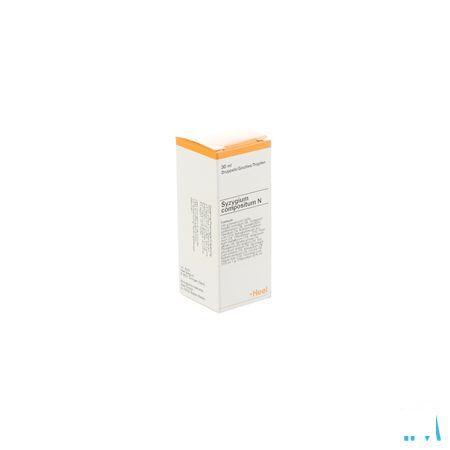 Syzygium-heel Compositum N Gutt 30 ml  -  Heel