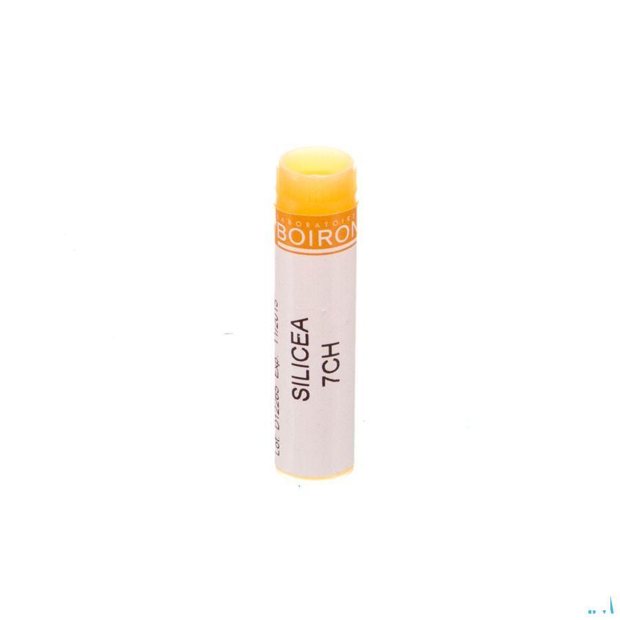 Silicea 7CH Gl  -  Boiron