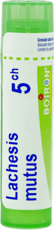 Lachesis Mutus 5CH Gr 4g  -  Boiron