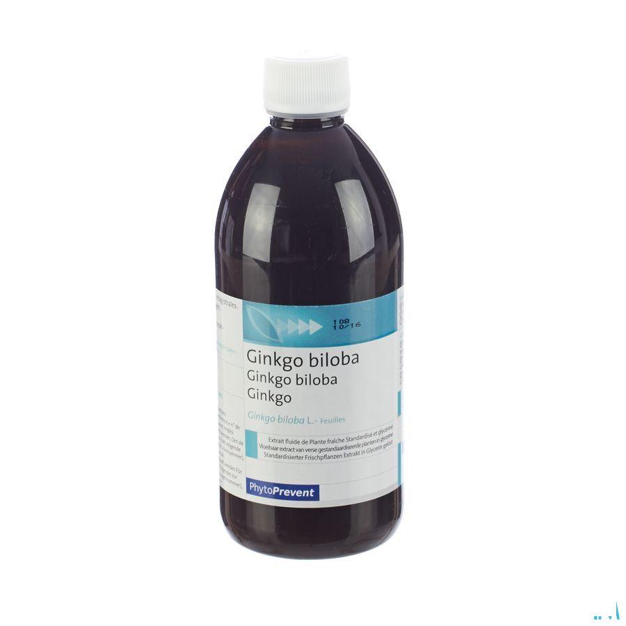 Phytostandard Gingko Vlb Extract 500 ml  -  Pileje