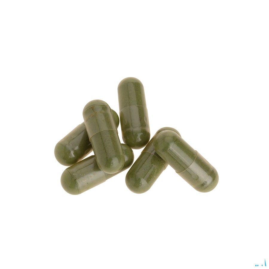 Biotics Chlorocaps 90 capsules  -  Energetica Natura