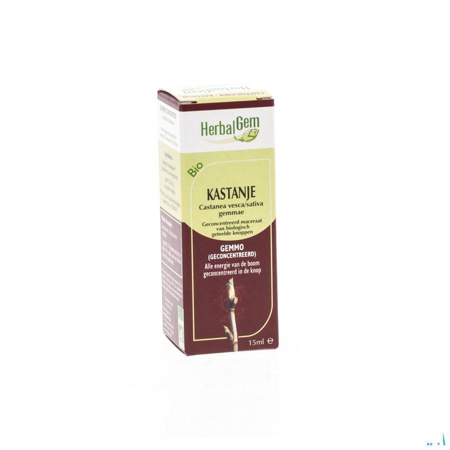 Herbalgem Kastanje Maceraat 15 ml  -  Herbalgem