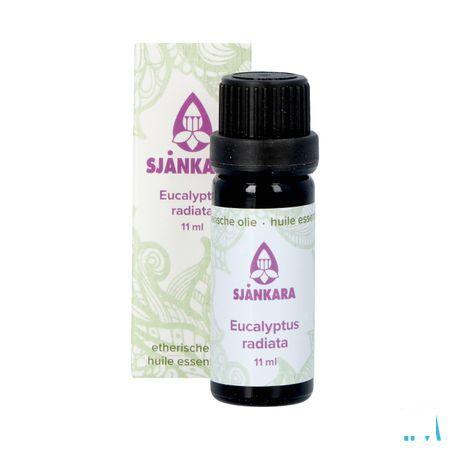 Sjankara Eucalyptus Radiata Ess. Olie Bio 11 ml