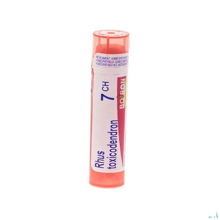 Rhus Toxicodendron 7CH Gr 4g  -  Boiron