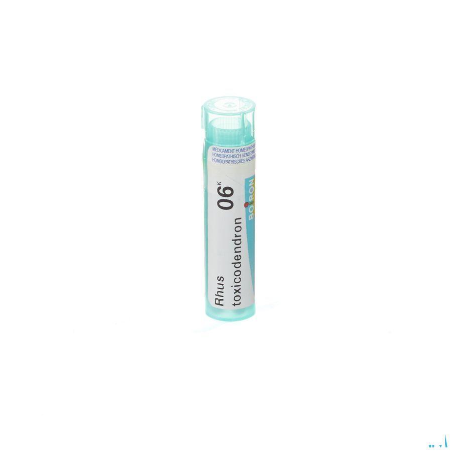 Rhus Toxicodendron 6k Gr 4g  -  Boiron