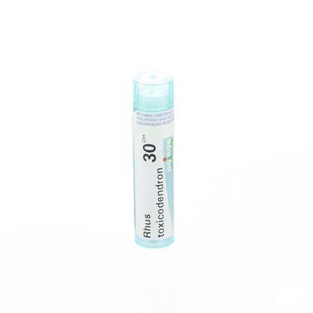 Rhus Toxicodendron 30CH Gr 4g  -  Boiron