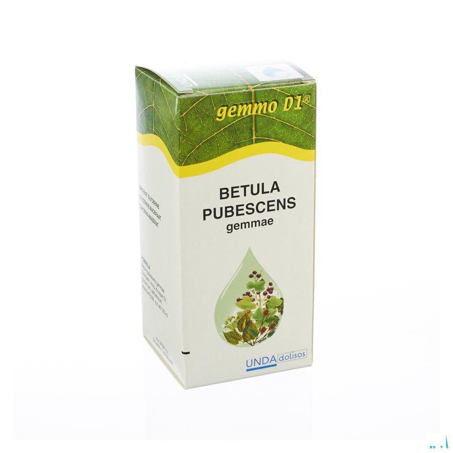 Betula Pub.gem. Gemmo D1 125 ml  -  Boiron