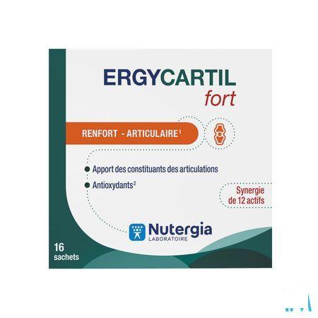Ergycartil Fort Zakje 16