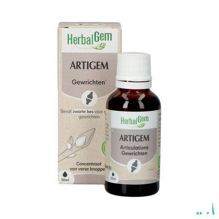 Herbalgem Artigem Bio 30 ml