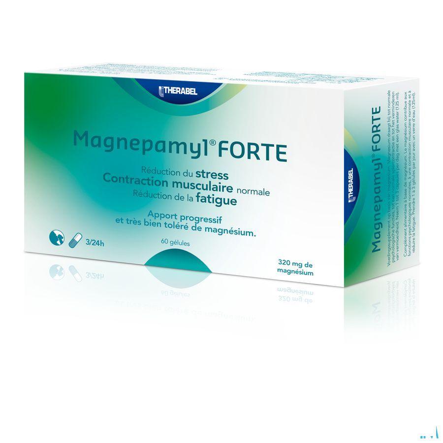 Magnepamyl Forte Capsule 60