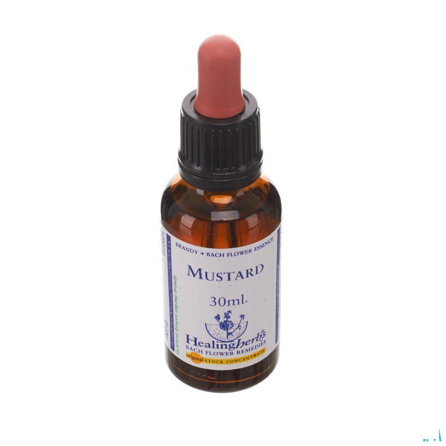 Healing Herbs Mustard 30 ml