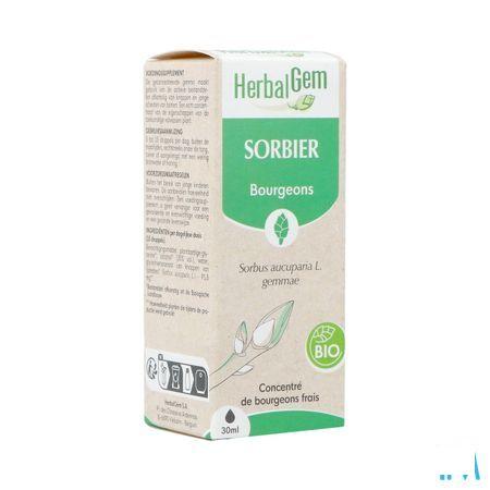Herbalgem Lijsterbes Bio 30 ml