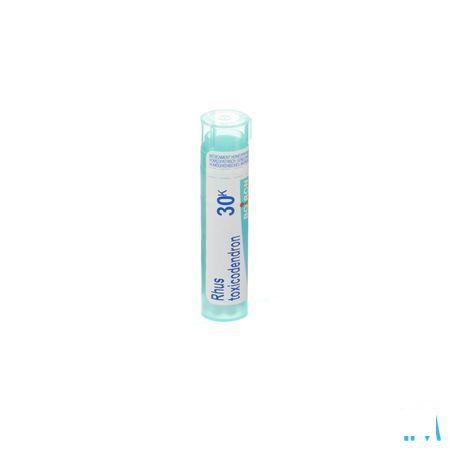 Rhus Toxicodendron 30K Gr 4g  -  Boiron