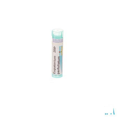 Eupatorium Perfoliatum 200K Gr 4g  -  Boiron
