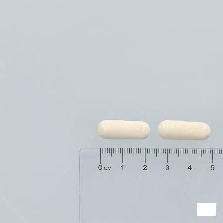 Magnesium & Vit B Complex Capsule 60