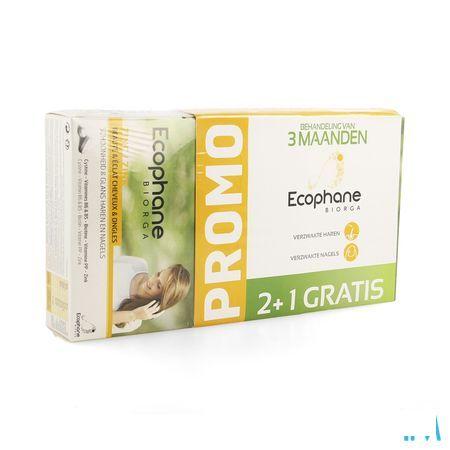 Ecophane Biorga Tabletten 3x60 2 + 1