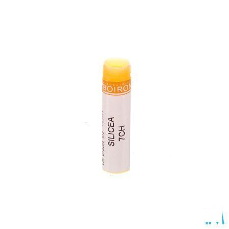 Silicea 7CH Gl  -  Boiron