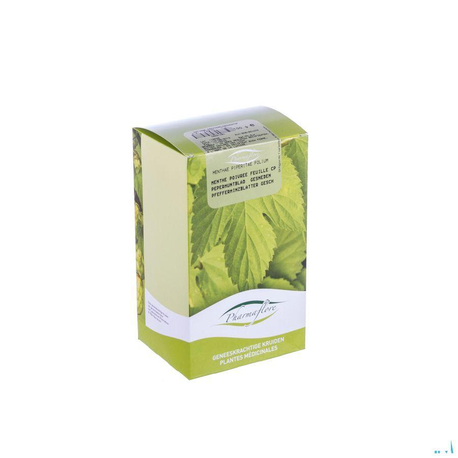 Menthe Poivree Feuille Coupee Boite 100 gr  -  Fagron