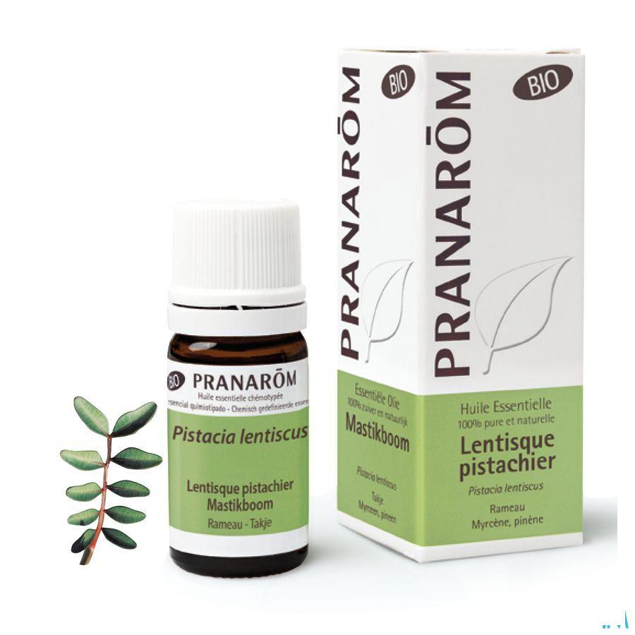 Lentisque Pistachier Bio Huile Essentielle 5 ml  -  Pranarom