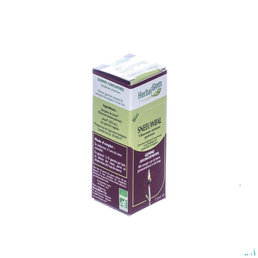 Herbalgem Wollige Sneeuwbal Maceraat 15 ml  -  Herbalgem