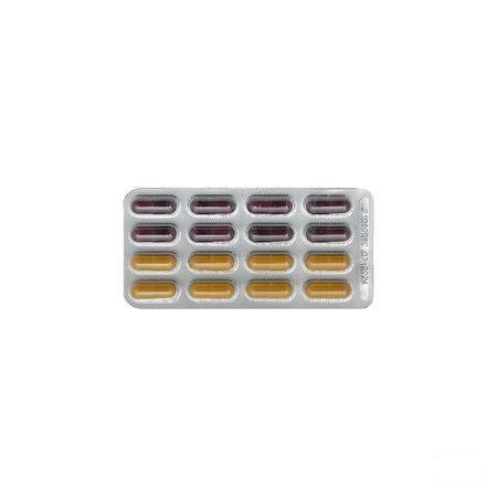 Ymea Day & Night Capsule 128 Be V2