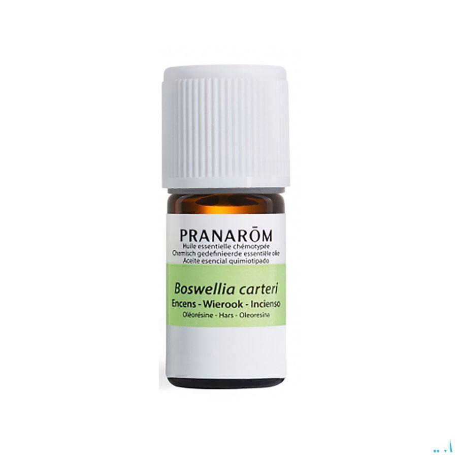 Wierook Oliban Somalie Essentiele Olie 5 ml  -  Pranarom