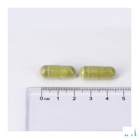 Lepivits Circu Plus Caps 60 Nf  -  Lepivits