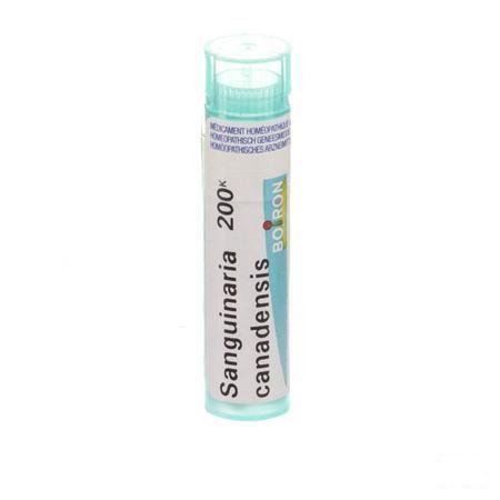 Sanguinaria Canadensis 200K Gr 4g  -  Boiron
