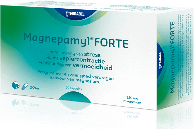 Magnepamyl Forte Capsule 60