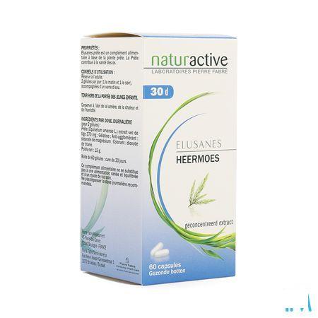 Elusanes Heermoes Capsule 60