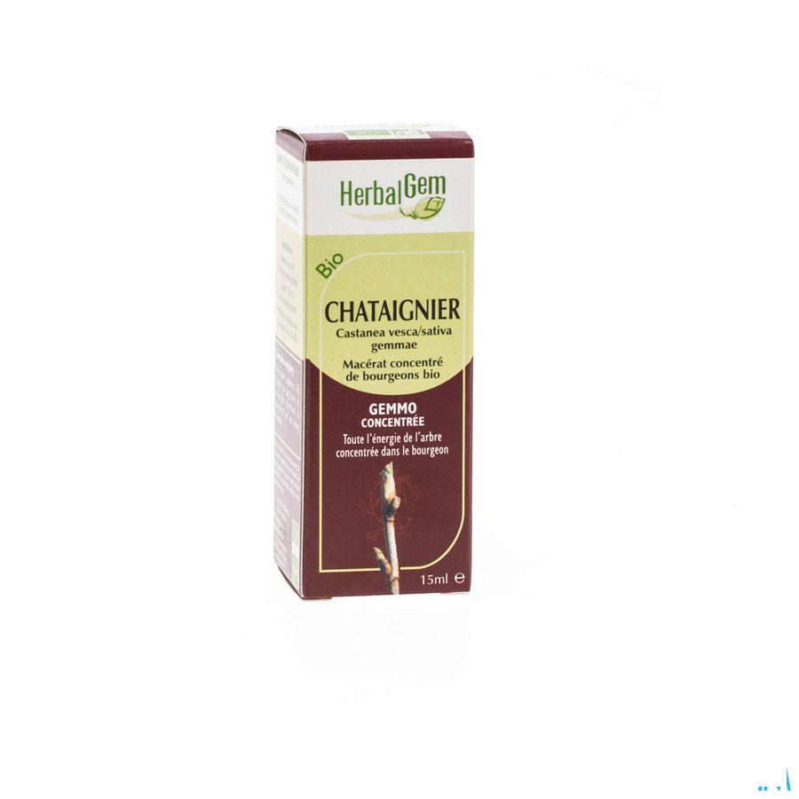 Herbalgem Kastanje Maceraat 15 ml  -  Herbalgem