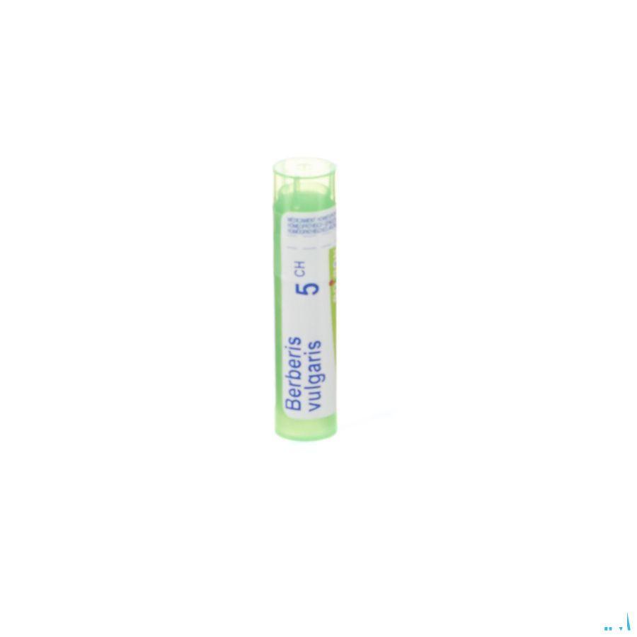 Berberis Vulgaris 5CH Gr 4g  -  Boiron