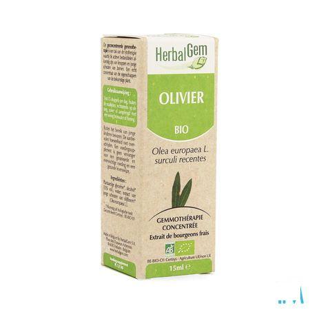 Herbalgem Olijfboom Maceraat 15 ml  -  Herbalgem