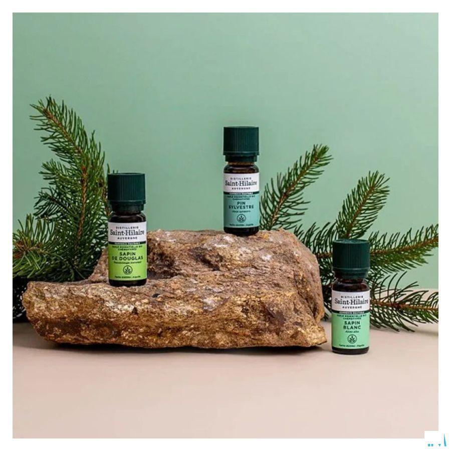 Pin Sylvestre Bio Huile Essentielle 10 ml  -  Bioholistic Diffusion