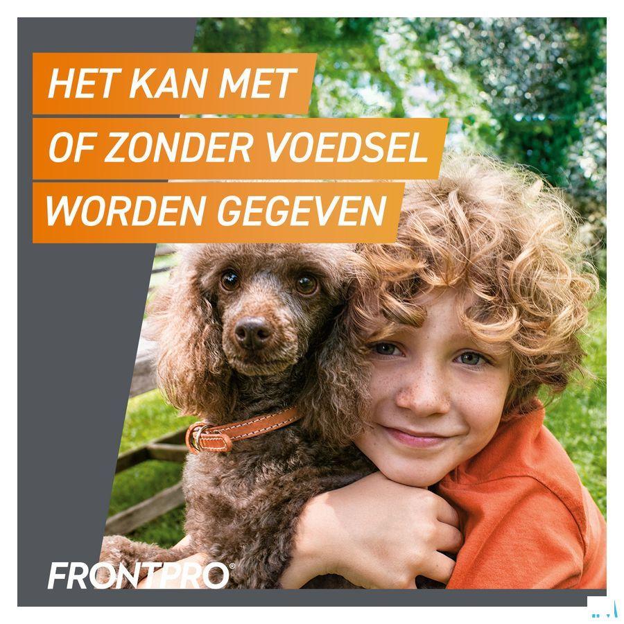 Frontpro 28Mg >4-10Kg Hond Kauwtabl 3