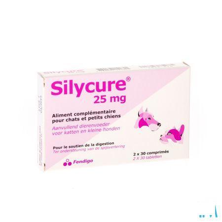 Silycure Tabletten 2x30x25 mg Blister  -  Fendigo