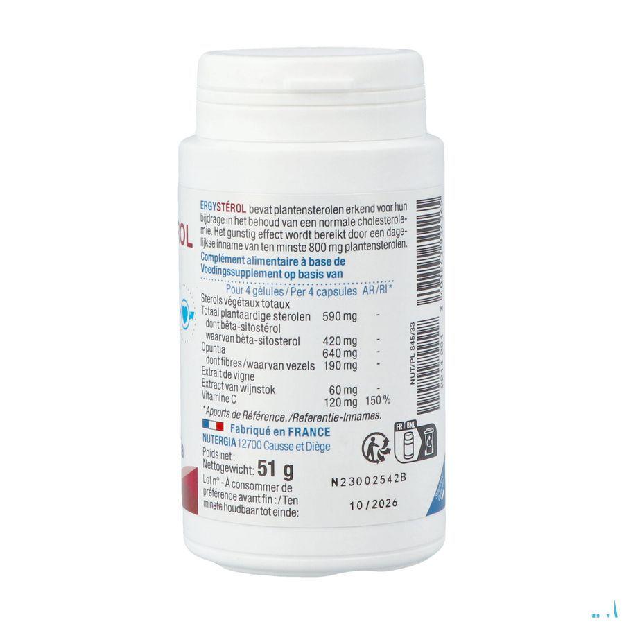 Ergysterol Pot Gel 100  -  Lab. Nutergia