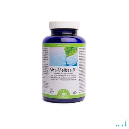 Alca Melisse B + Tabletten 250  -  Natura Medicatrix