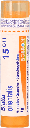 Blatta Orientalis 15CH Gr 4g  -  Boiron
