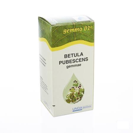 Betula Pub.gem. Gemmo D1 125 ml  -  Boiron