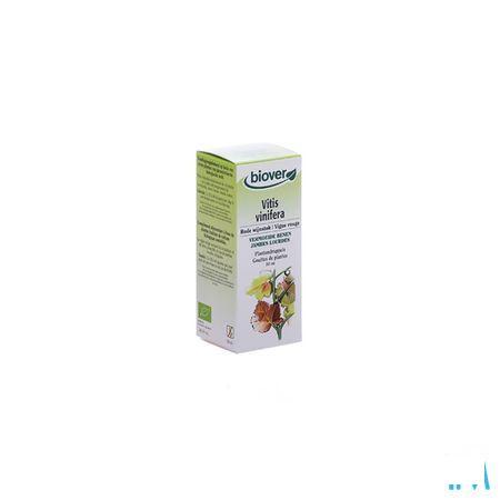 Rode Wijnstok Teinture Bio 50 ml   -  Ocebio