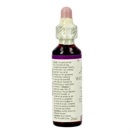Bach Flower Remedie 34 Water Violet 20 ml