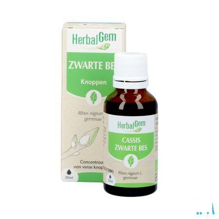 Herbalgem Zwarte Bes Maceraat 30 ml  -  Herbalgem