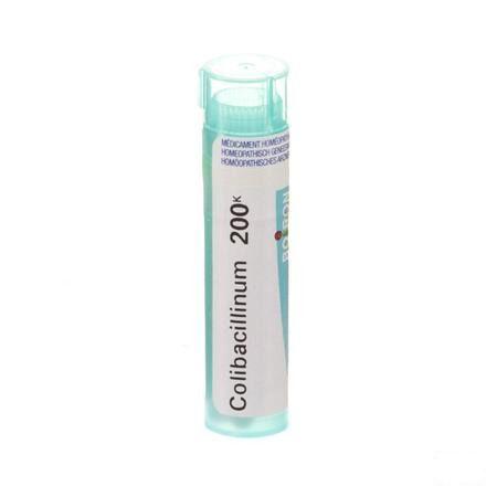 Colibacillinum 200K Gr 4g  -  Boiron
