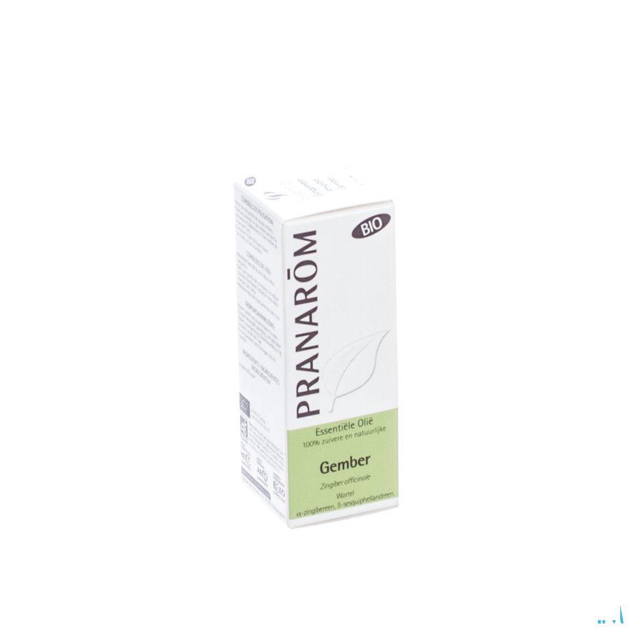 Gember Bio Essentiele Olie 5 ml  -  Pranarom