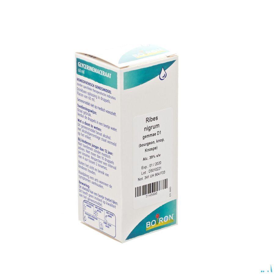 Ribes Nigrum Gemmo D1 60 ml  -  Boiron