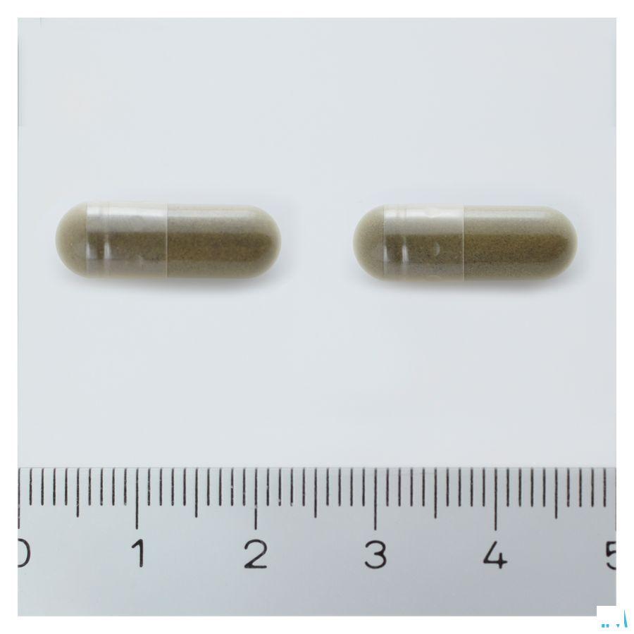 Arkocaps Ginkgo Biloba Plantaardig Duo 2X45  -  Arkopharma 