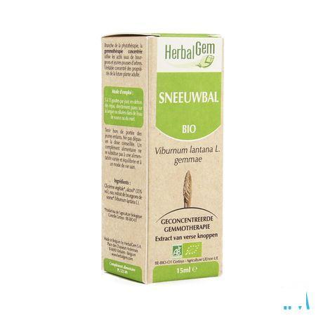 Herbalgem Wollige Sneeuwbal Maceraat 15 ml  -  Herbalgem