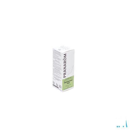 Rose Damas Huile Essentielle 2 ml  -  Pranarom