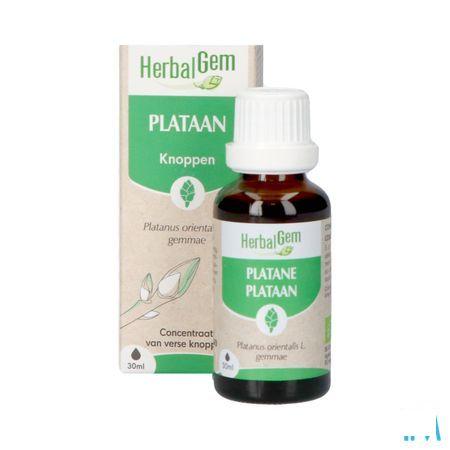 Herbalgem Platane Bio 30 ml